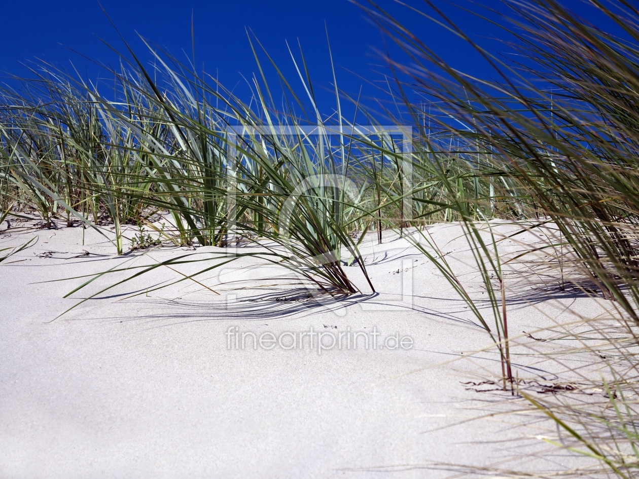 Bild-Nr.: 11310866 Dünen auf der Insel Rügen erstellt von Renate Knapp