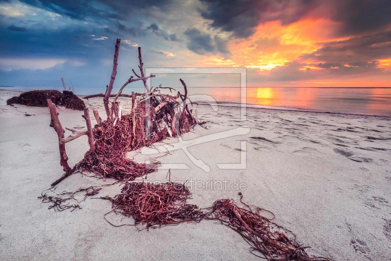 Bild-Nr.: 11311858 Idylle am Weststrand Darß Ostsee erstellt von diwiesign