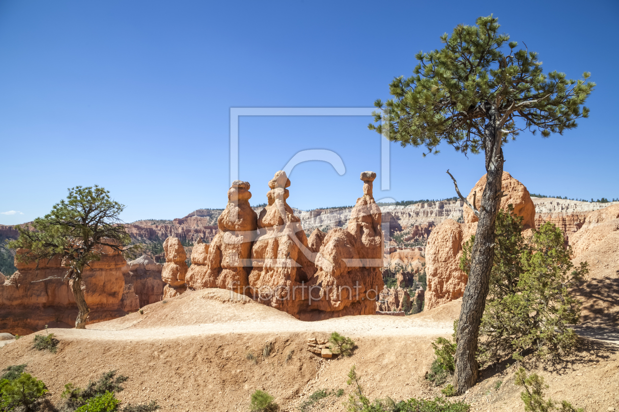 Bild-Nr.: 11313738 Beautiful BRYCE CANYON  erstellt von Melanie Viola