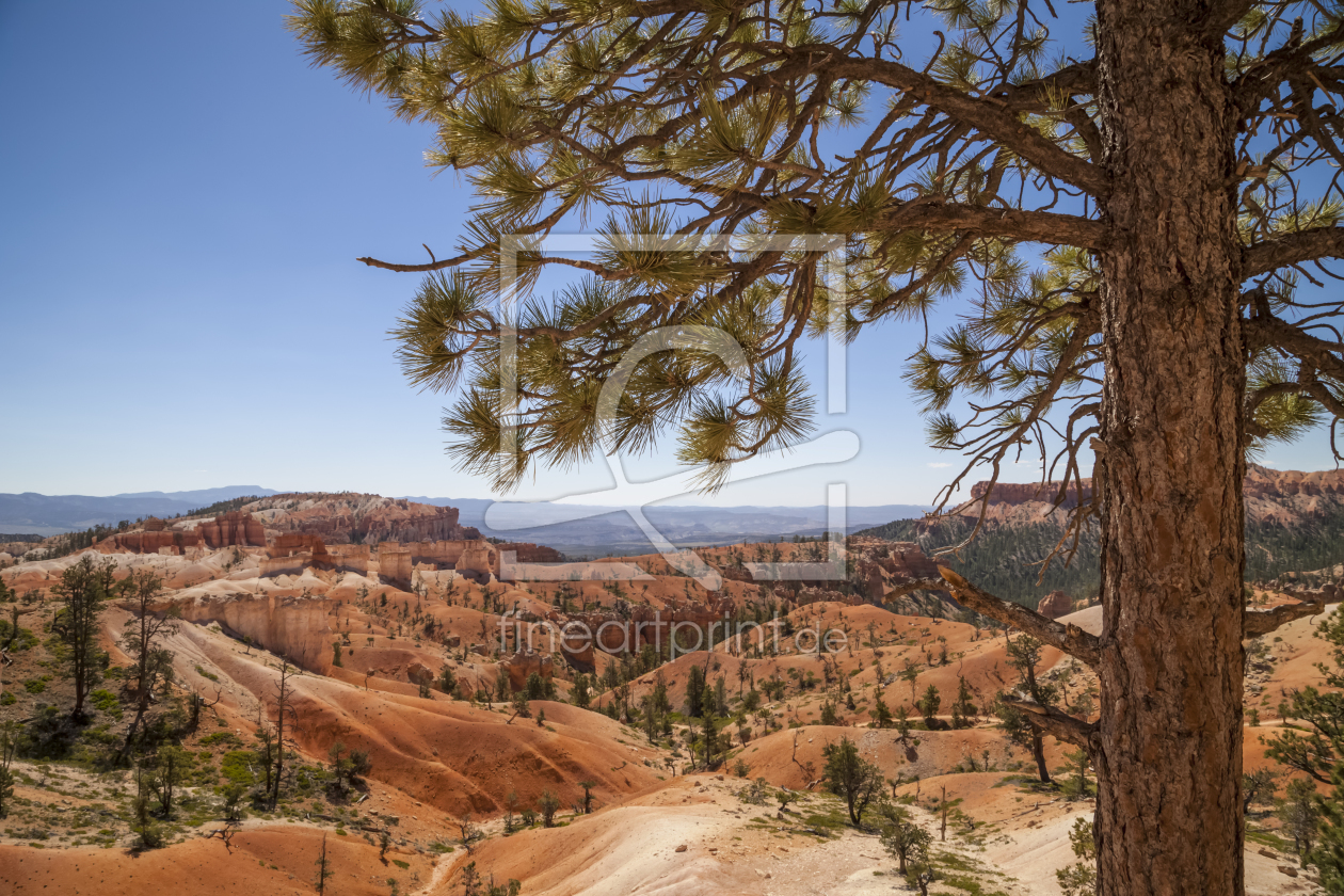 Bild-Nr.: 11313762 BRYCE CANYON View erstellt von Melanie Viola