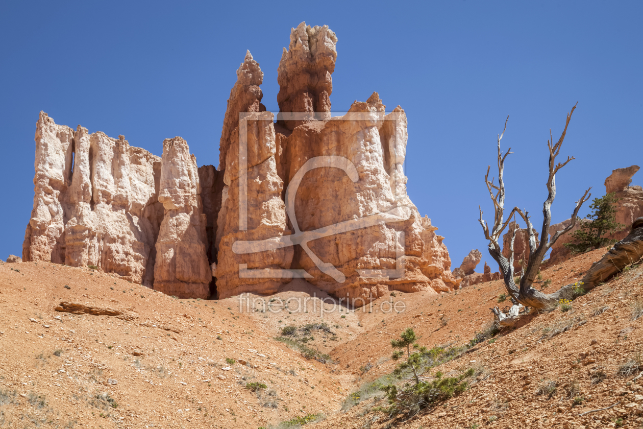 Bild-Nr.: 11313772 BRYCE CANYON Hoodoos erstellt von Melanie Viola