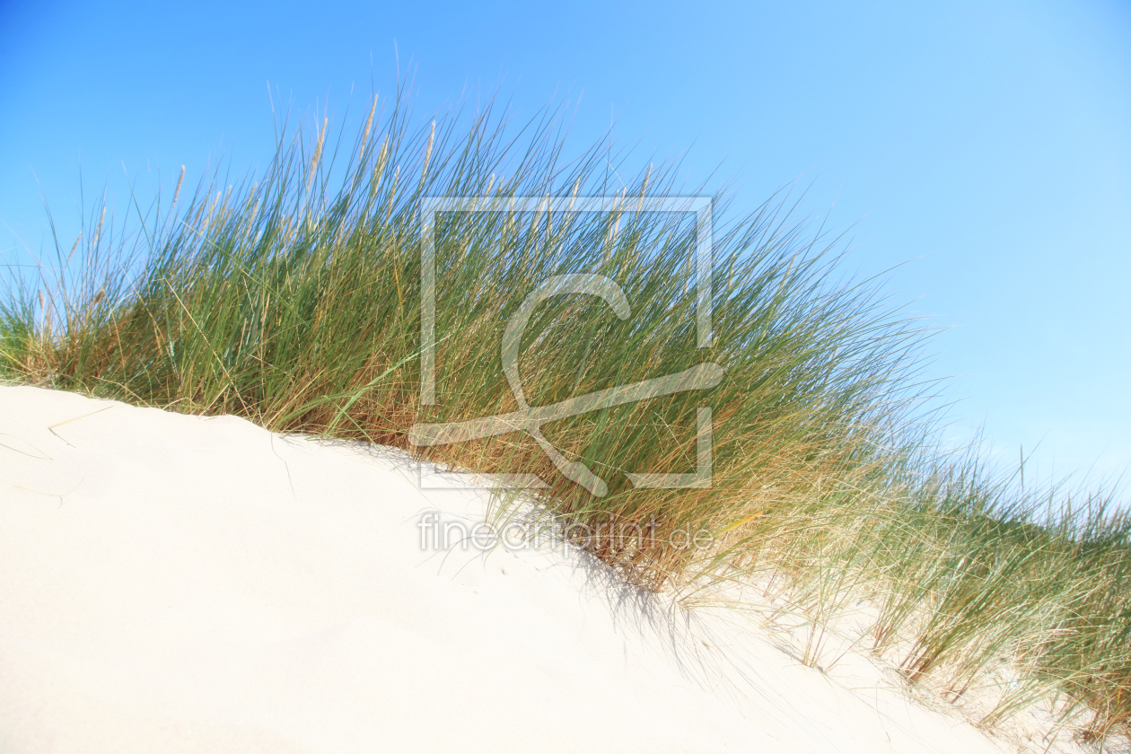 Bild-Nr.: 11314238 Dünen an der Ostseeküste erstellt von Renate Knapp