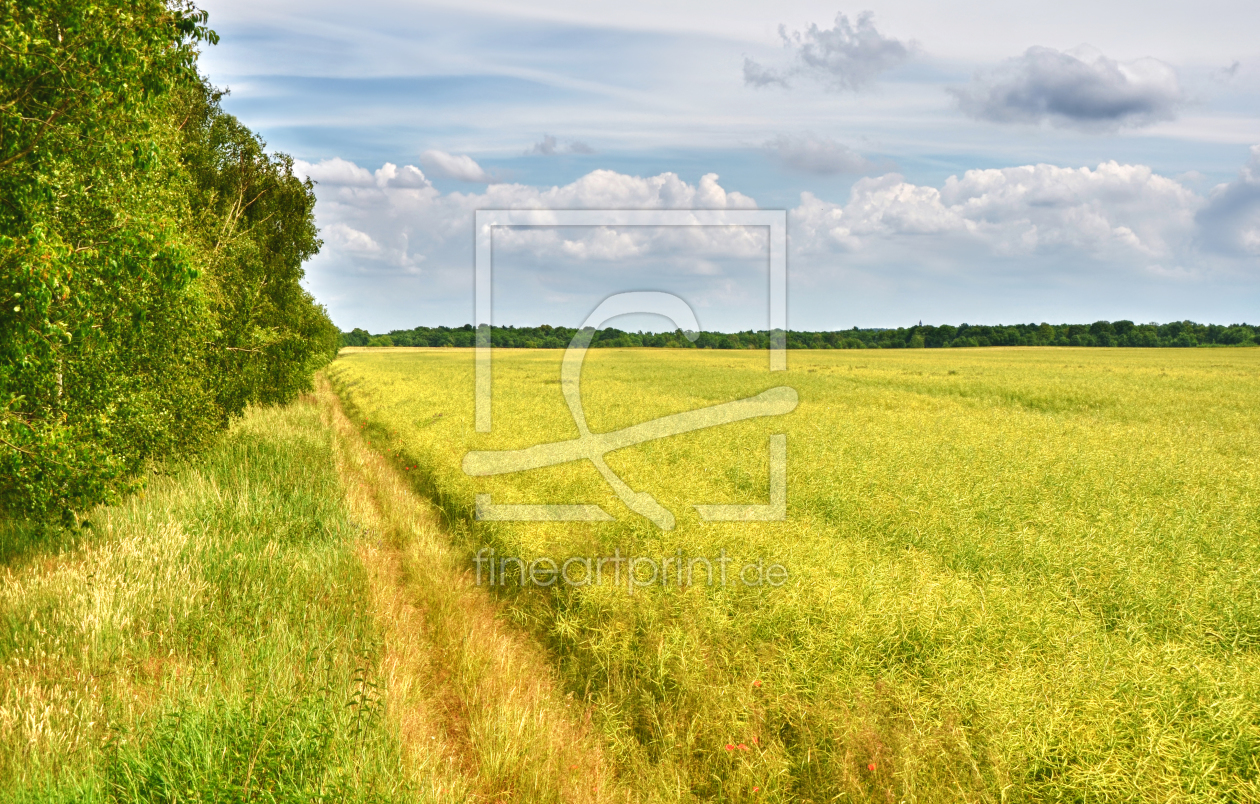 Bild-Nr.: 11314558 Feldweg erstellt von Atteloi