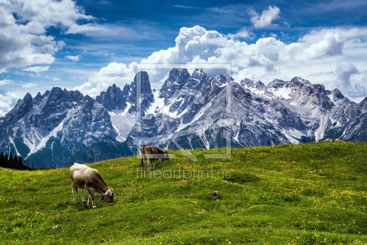 Bild-Nr.: 11314760 Dolomiten - Monte Cristallo erstellt von Reiner Würz