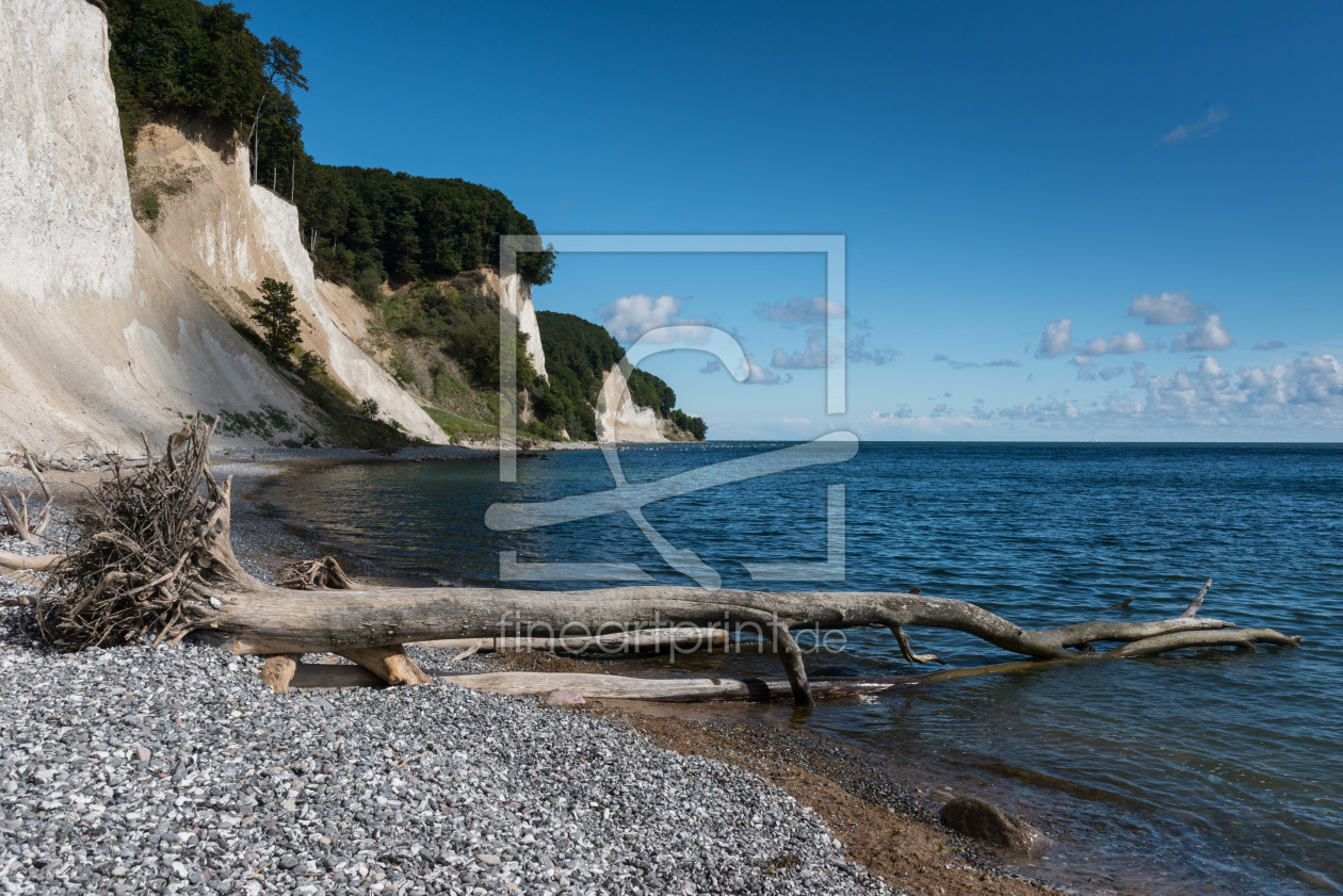 Bild-Nr.: 11315976 Kreidefelsen im Jasmund-Nationalpark, Rügen, Ostsee, Deutschland erstellt von orxy