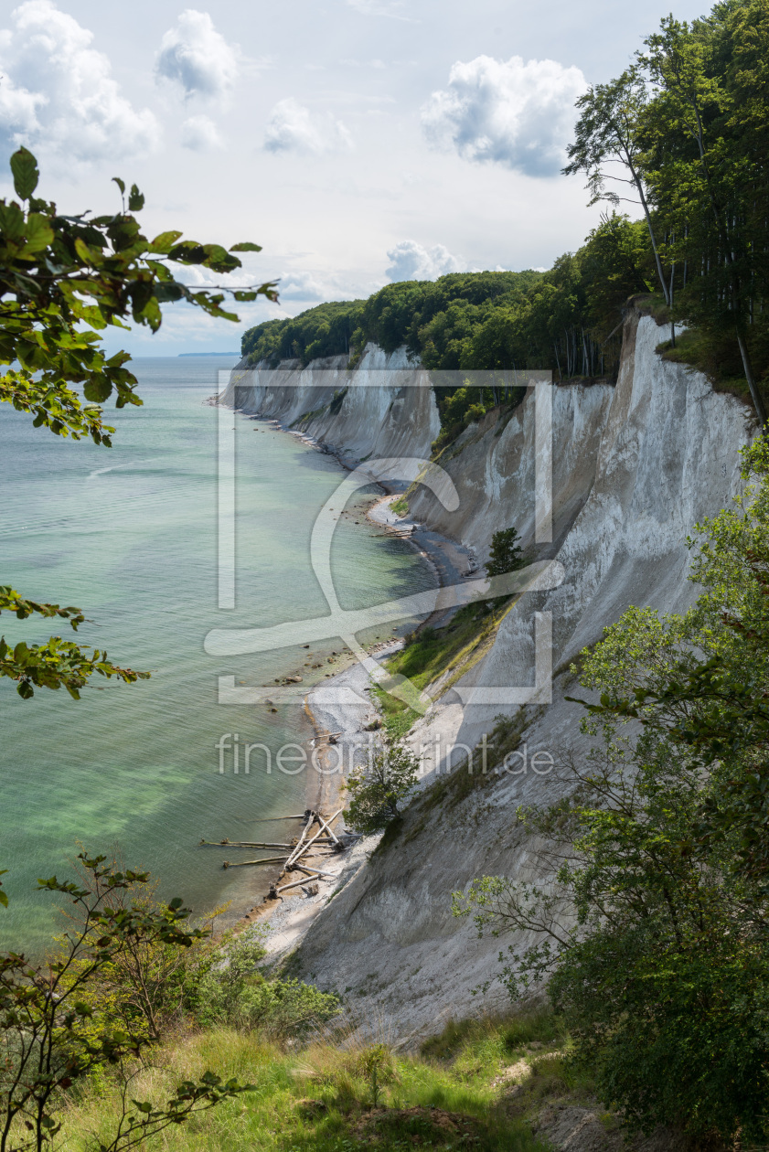 Bild-Nr.: 11316006 Kreidefelsen im Nationalpark Jasmund auf der Insel Rügen, Ostsee, Deutschland erstellt von orxy