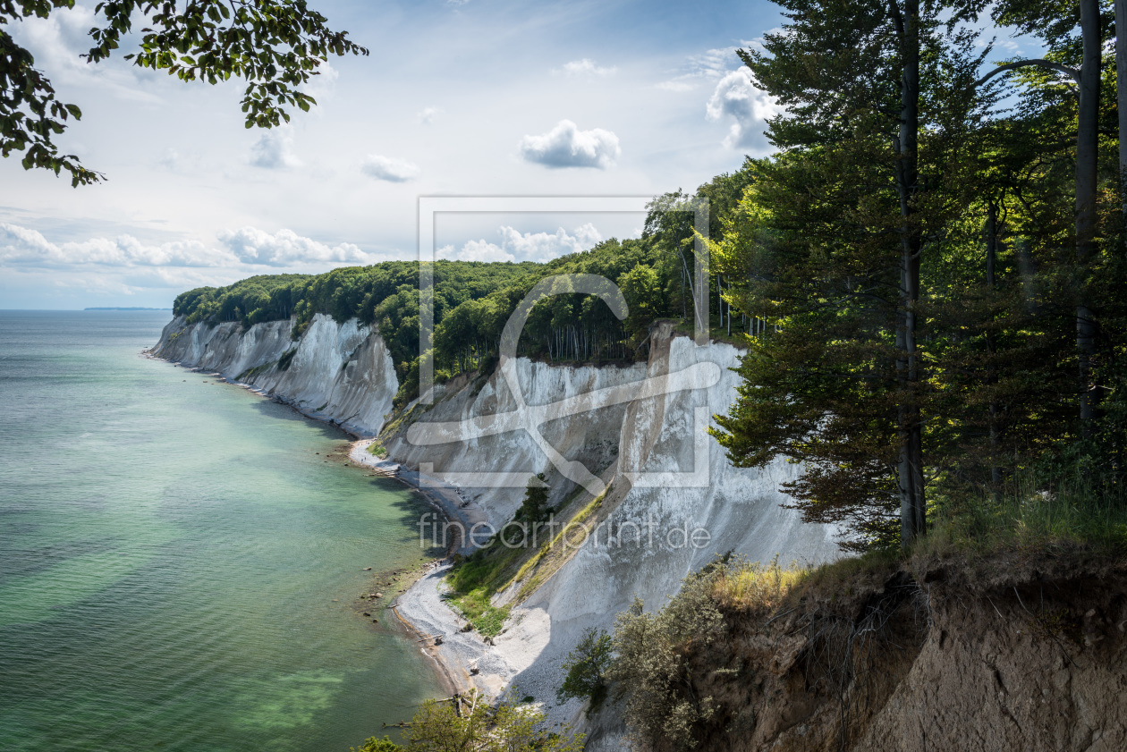 Bild-Nr.: 11316012 Kreidefelsen im Nationalpark Jasmund auf der Insel Rügen, Ostsee, Deutschland erstellt von orxy