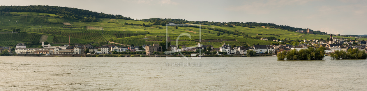 Bild-Nr.: 11317374 Stadtpanorama Rüdesheim erstellt von Erhard Hess