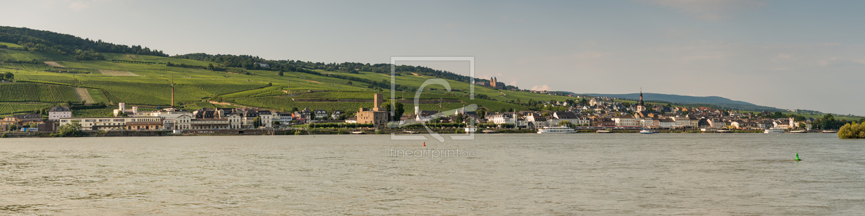 Bild-Nr.: 11317384 Stadtpanorama Rüdesheim 5 erstellt von Erhard Hess