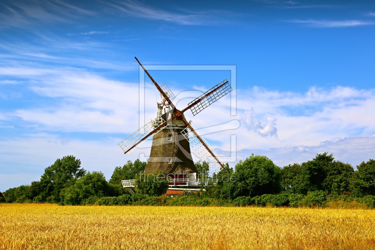 Bild-Nr.: 11318252 WINDMÜHLE OLDSUM erstellt von Ursula Reins