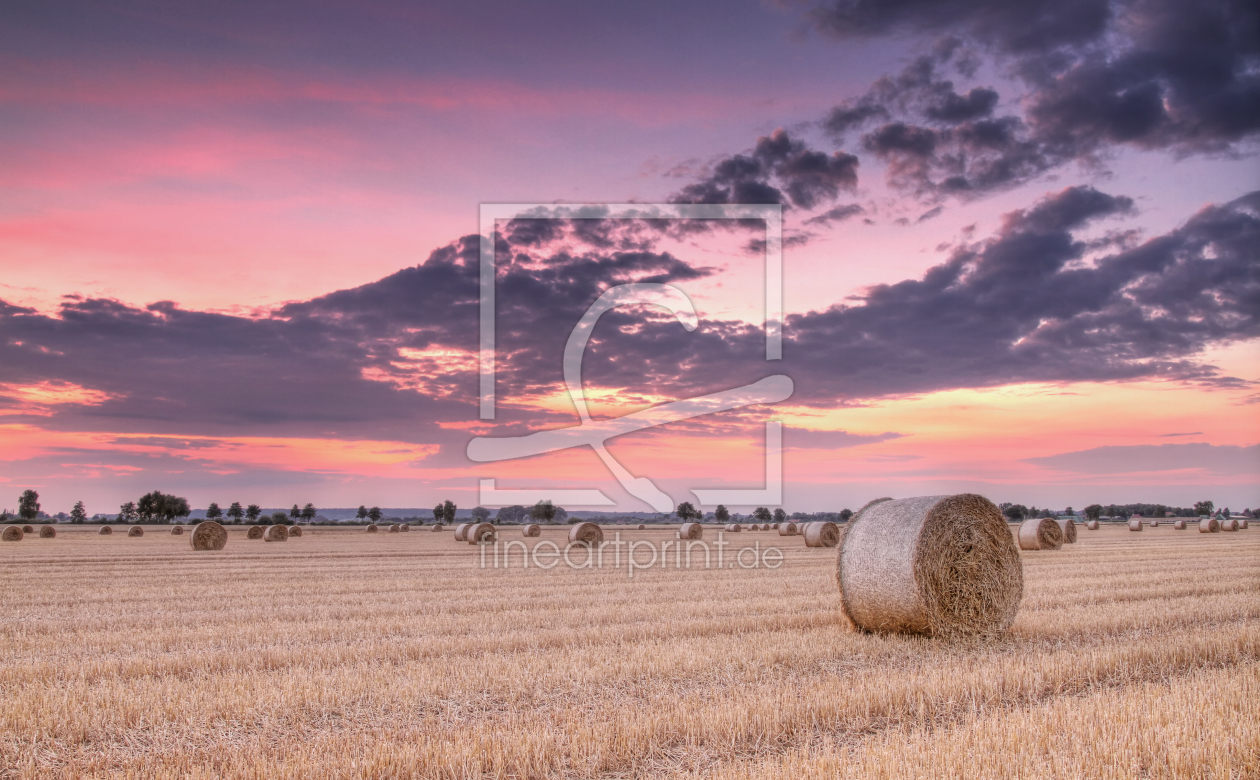 Bild-Nr.: 11318820 Strohballen III erstellt von PhotoArt-Hartmann