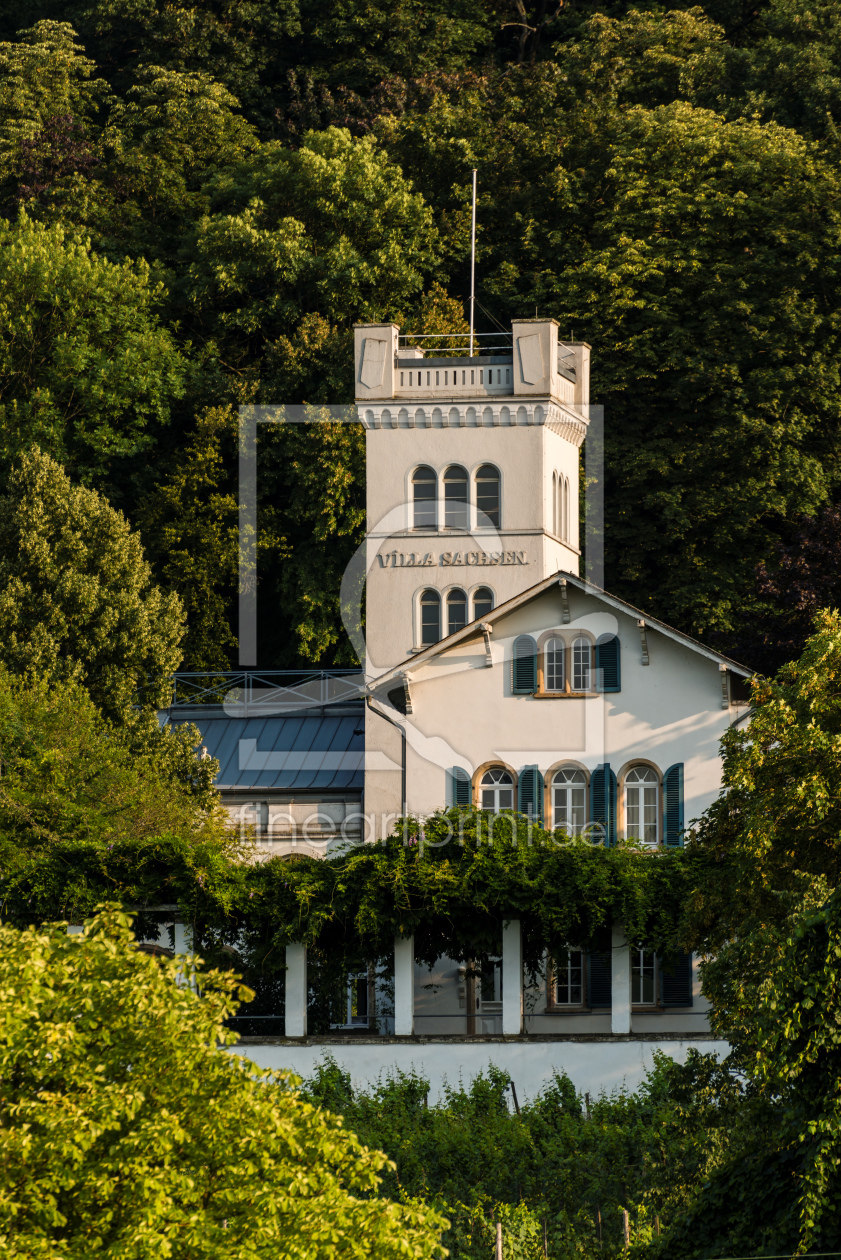 Bild-Nr.: 11322746 Villa Sachsen in Bingen erstellt von Erhard Hess