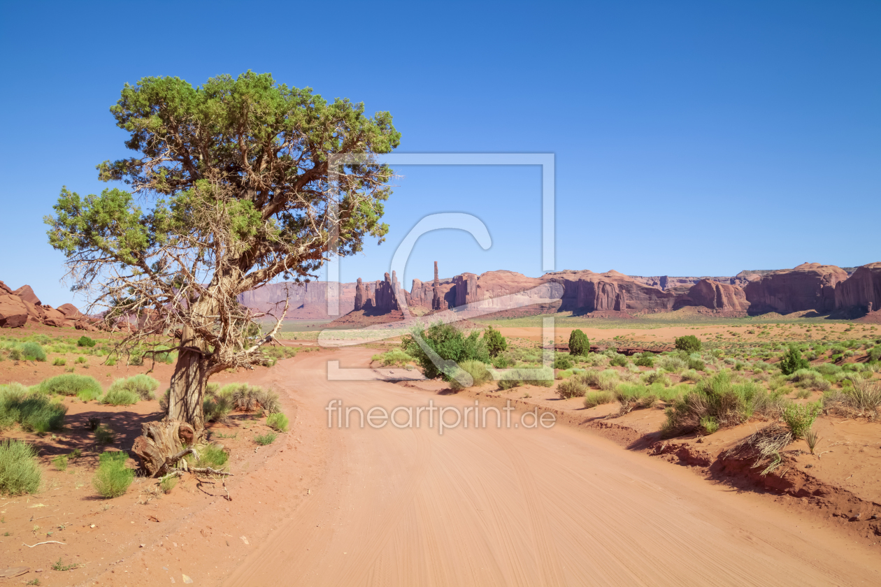 Bild-Nr.: 11329741 MONUMENT VALLEY Valley Drive erstellt von Melanie Viola