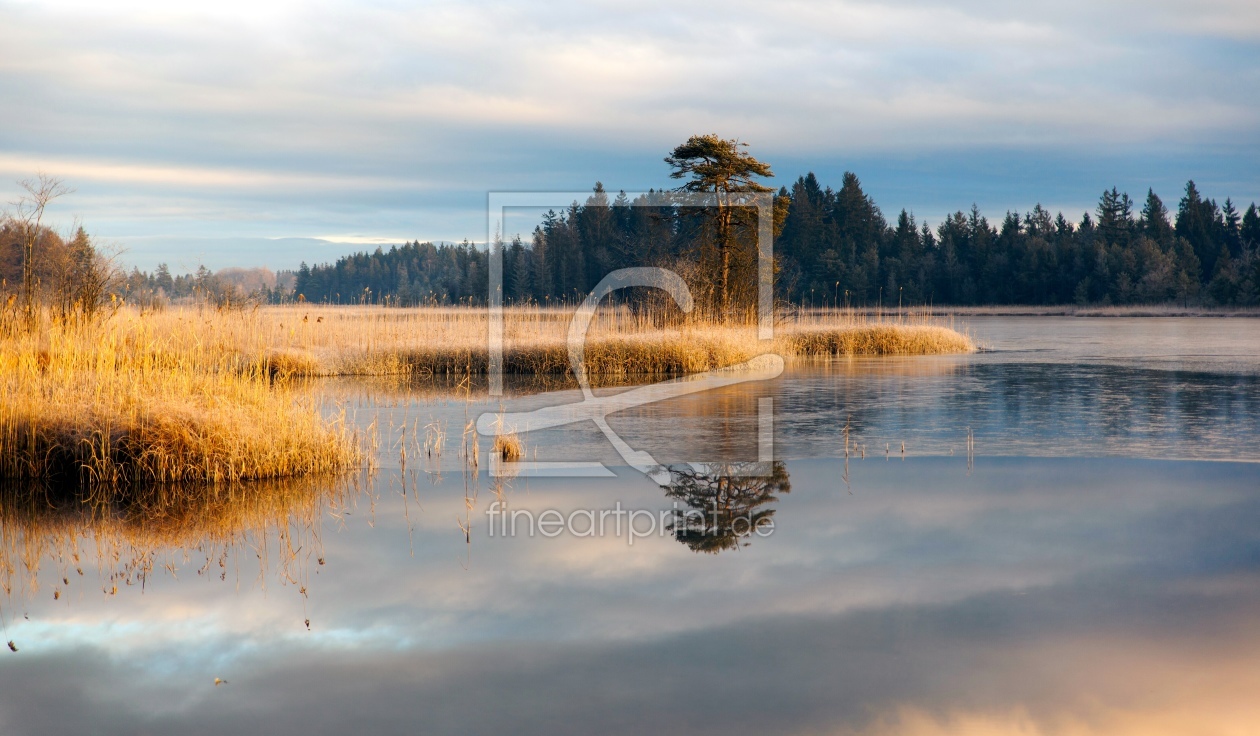 Bild-Nr.: 11330121 Morgens am See erstellt von wompus