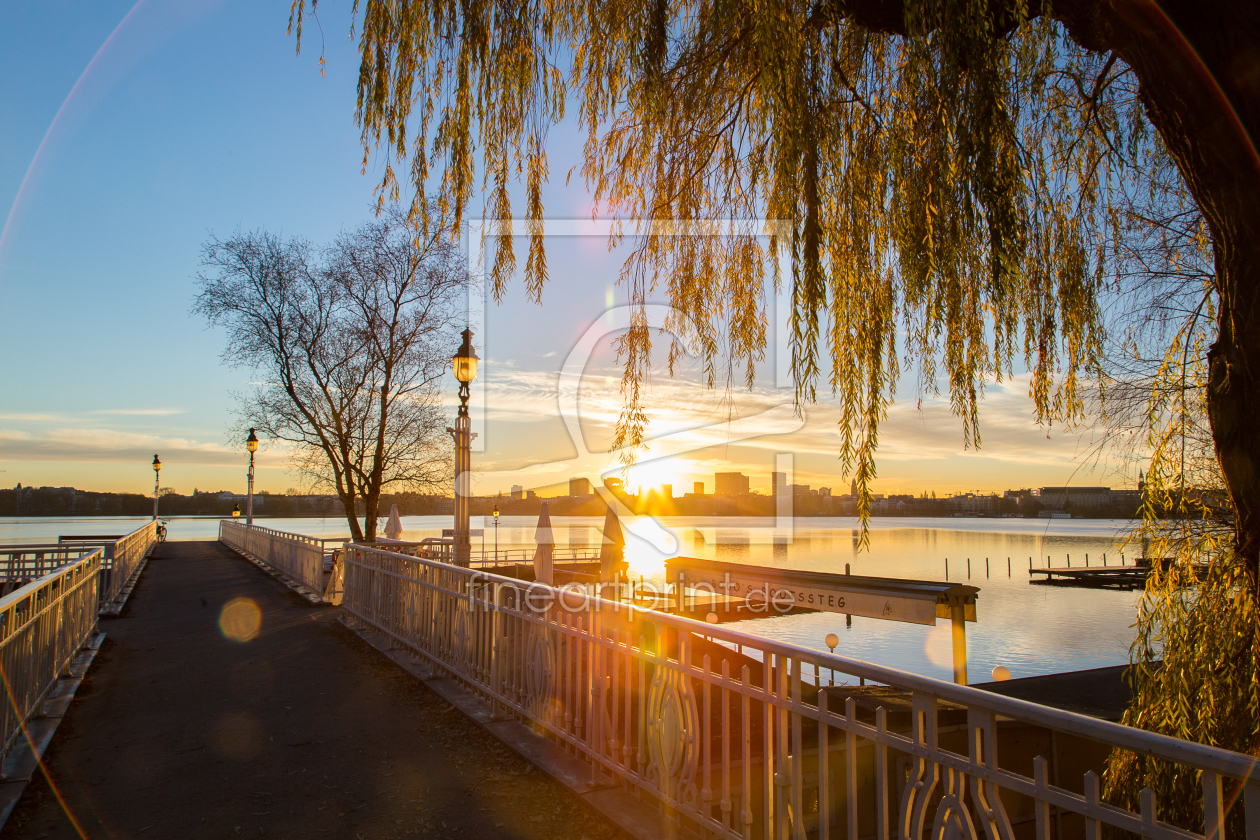 Bild-Nr.: 11331217 Hamburg, Außenalster erstellt von Photosynthese