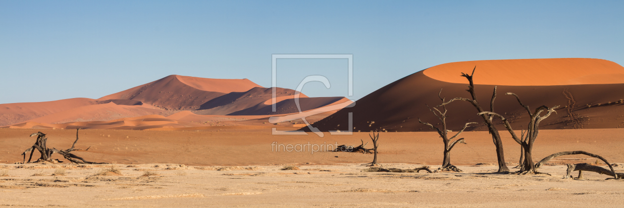 Bild-Nr.: 11333481 Panorama Dead Vlei erstellt von Circumnavigation