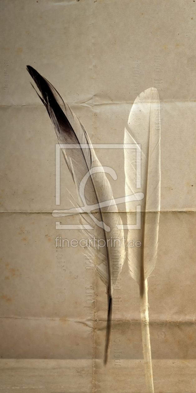 Bild-Nr.: 11333539 feathers and old paper erstellt von Rolf Eschbach