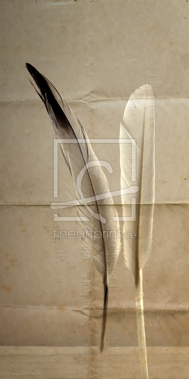 Bild-Nr.: 11333539 feathers and old paper erstellt von Rolf Eschbach