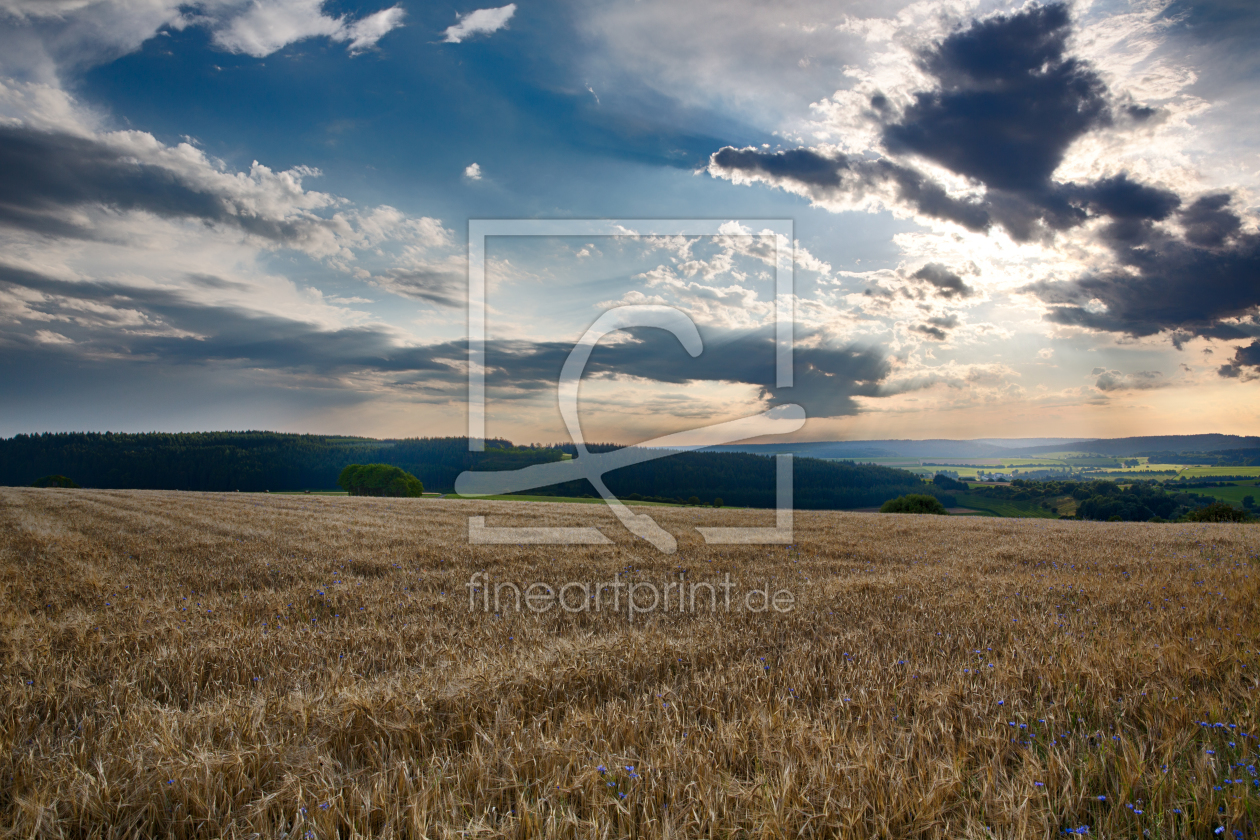 Bild-Nr.: 11335985 Impressionen Vulkaneifel erstellt von Rene Conzen