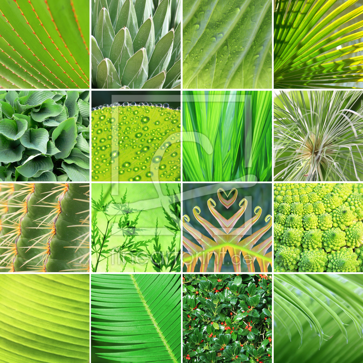Bild-Nr.: 11336581 Pflanzenstrukturen erstellt von SusaZoom