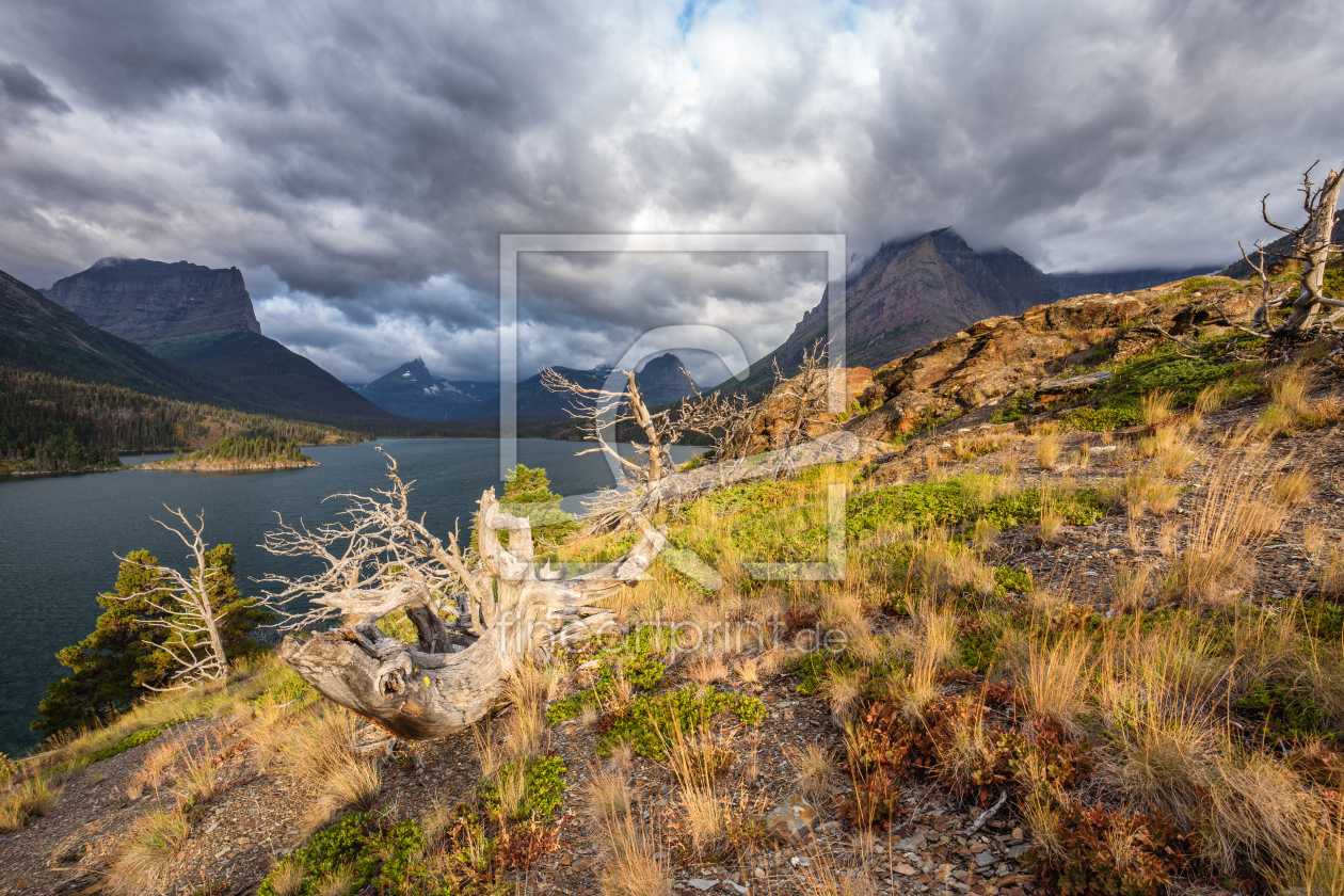 Bild-Nr.: 11343756 Sun Point - St. Mary Lake - West Glacier NP - USA erstellt von TomKli