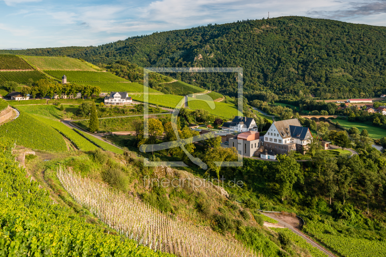 Bild-Nr.: 11345132 Weinbau-Domäne Niederhausen erstellt von Erhard Hess