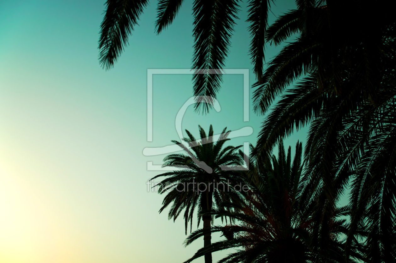 Bild-Nr.: 11346052 Tropical erstellt von spima