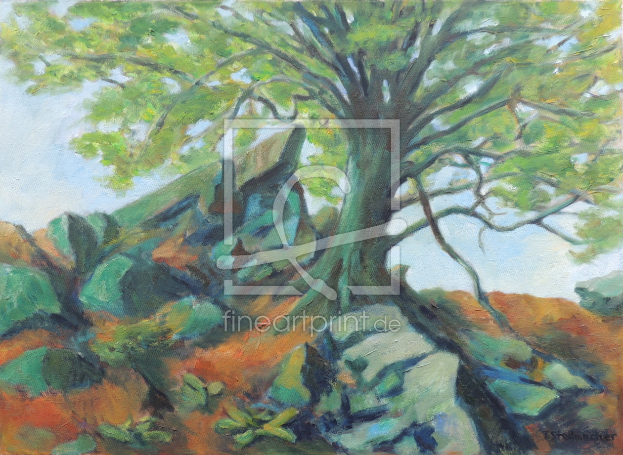 Bild-Nr.: 11346204 Sprießender Baum auf Felsen erstellt von Landschaftsmaler