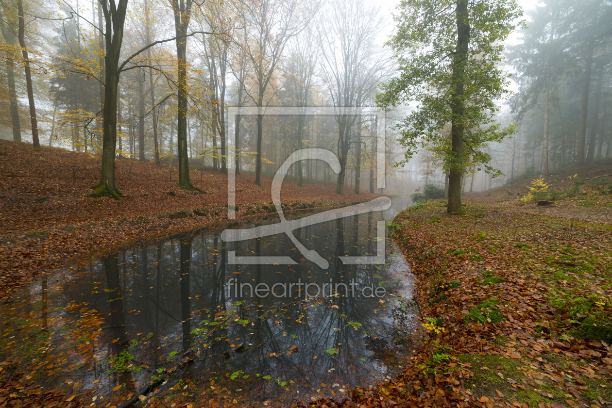 Bild-Nr.: 11346310 Der Waldfluss erstellt von Eddi D.