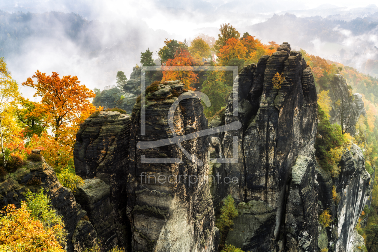 Bild-Nr.: 11346564 aus dem Nebel erstellt von Daniela Beyer