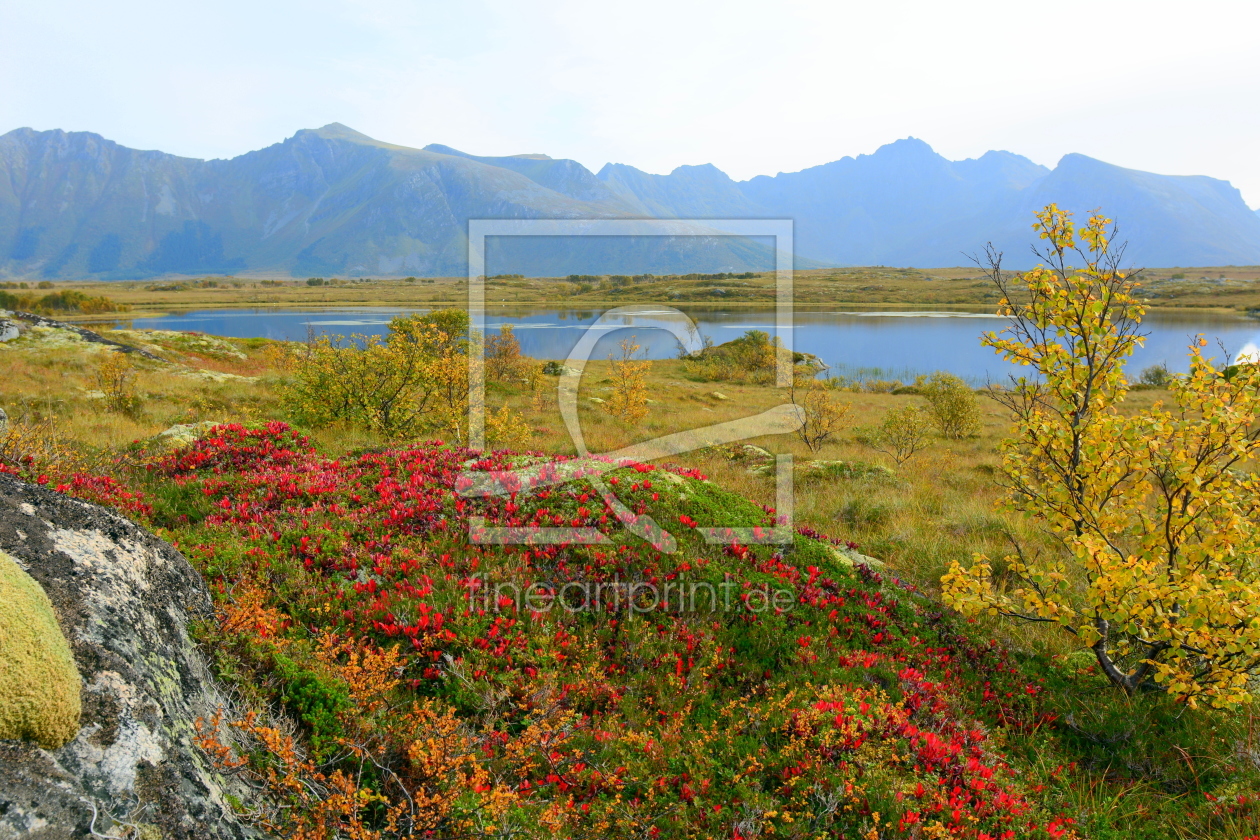 Bild-Nr.: 11349274 Lofoten-Herbst erstellt von GUGIGEI