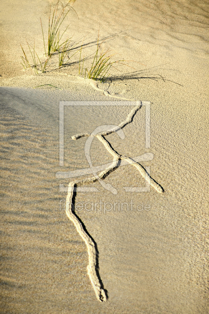 Bild-Nr.: 11349698 Dünenimpression erstellt von Gisie