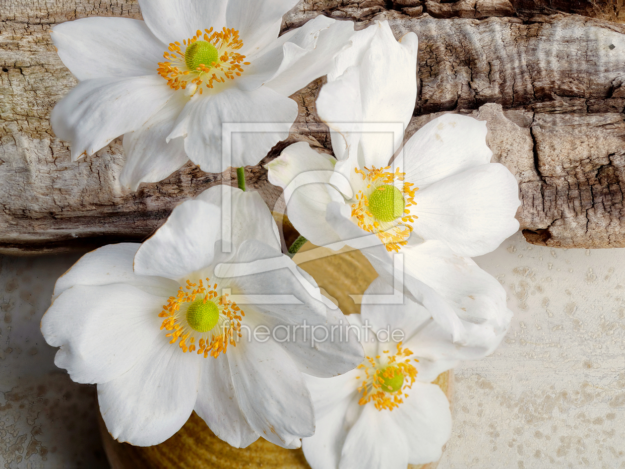 Bild-Nr.: 11352244 Sommerblumen erstellt von Rolf Eschbach