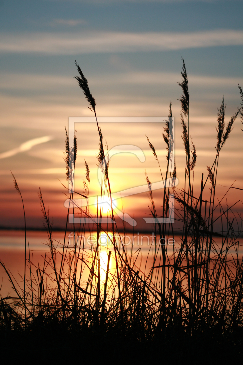 Bild-Nr.: 11352478 Sonnenuntergang über Hiddensee erstellt von mobil-foto-de
