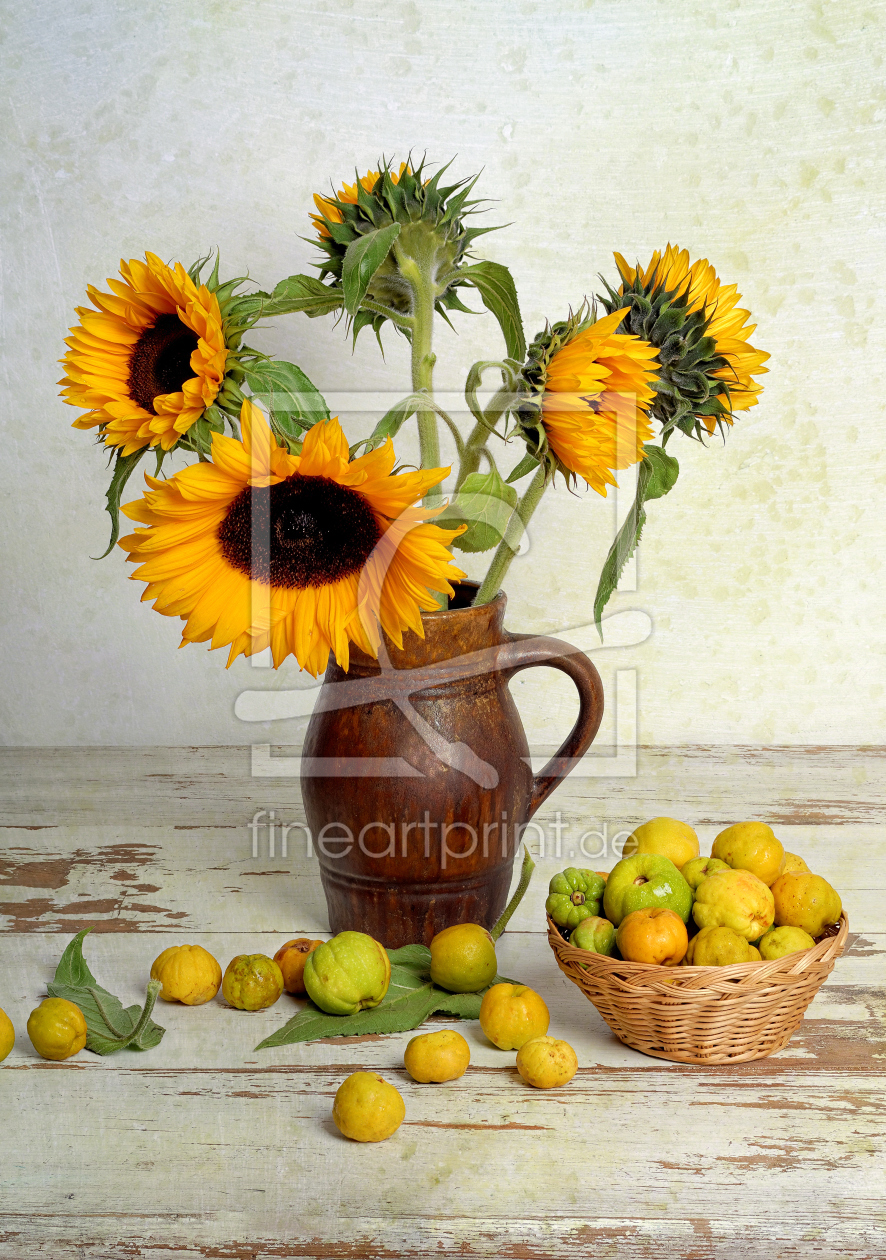 Bild-Nr.: 11353468 Sonnenblumen und Quitten erstellt von Rolf Eschbach