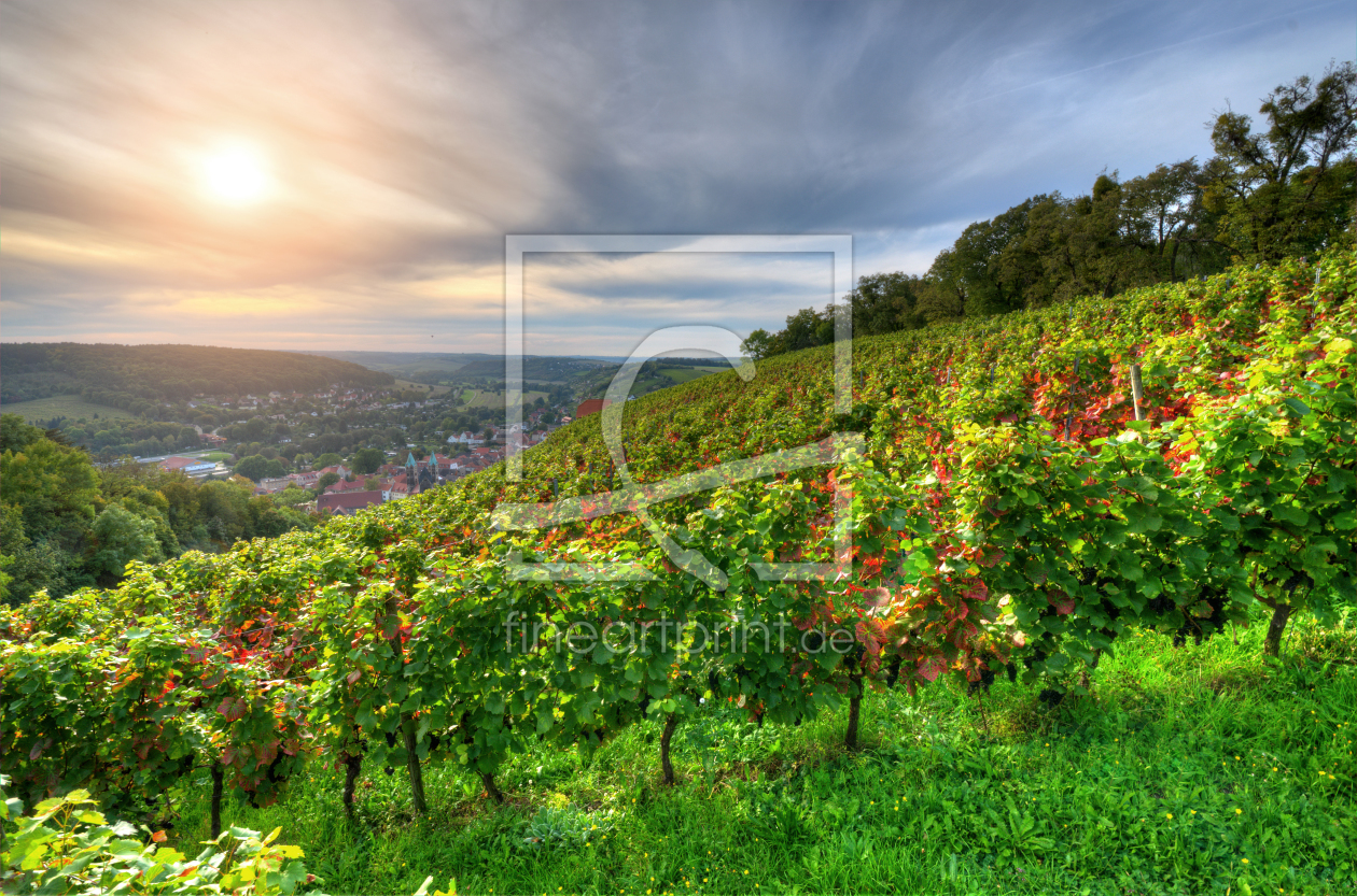 Bild-Nr.: 11354356 Weinberg erstellt von Steffen Gierok