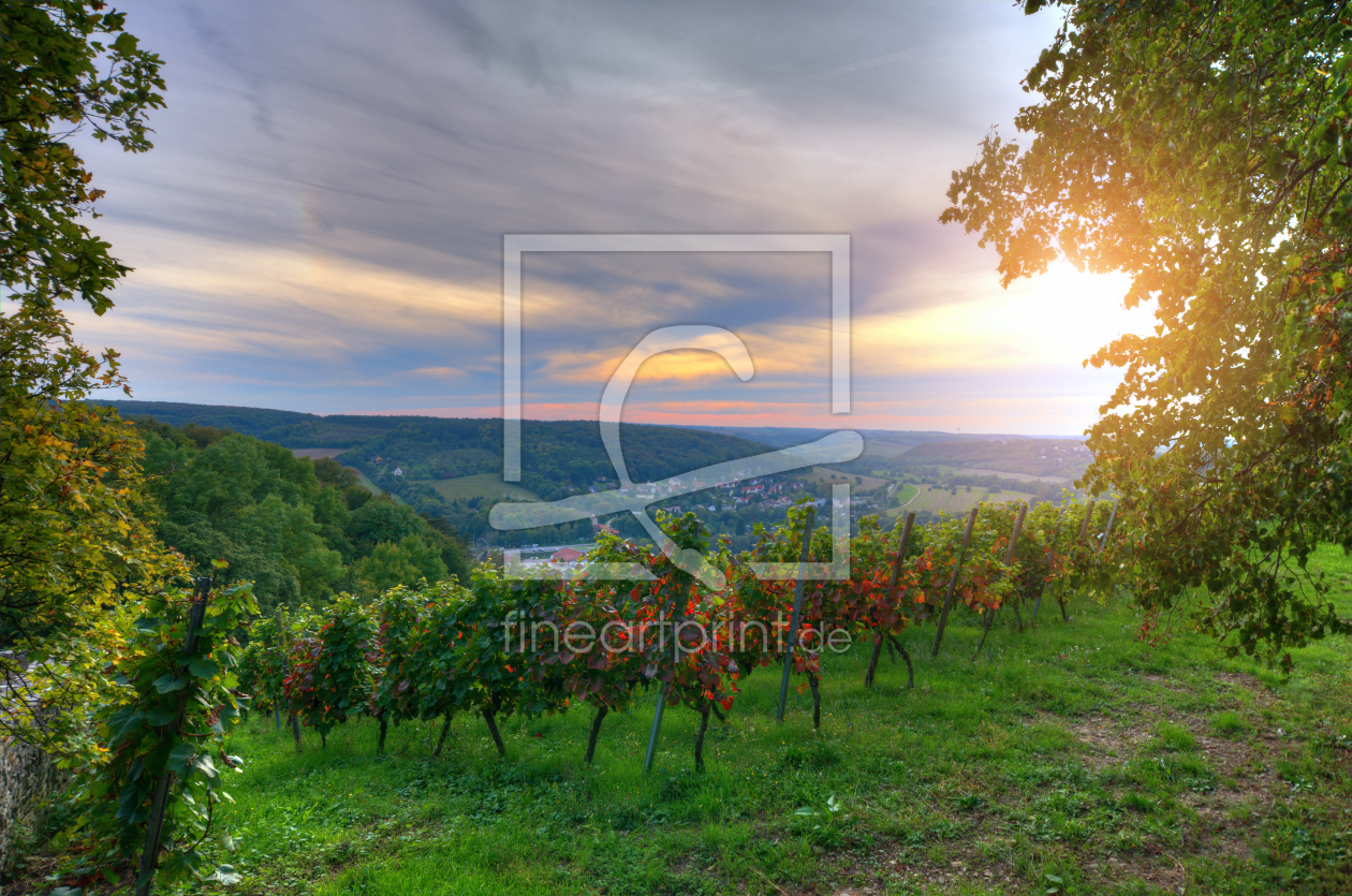 Bild-Nr.: 11354360 Weinberg erstellt von Steffen Gierok