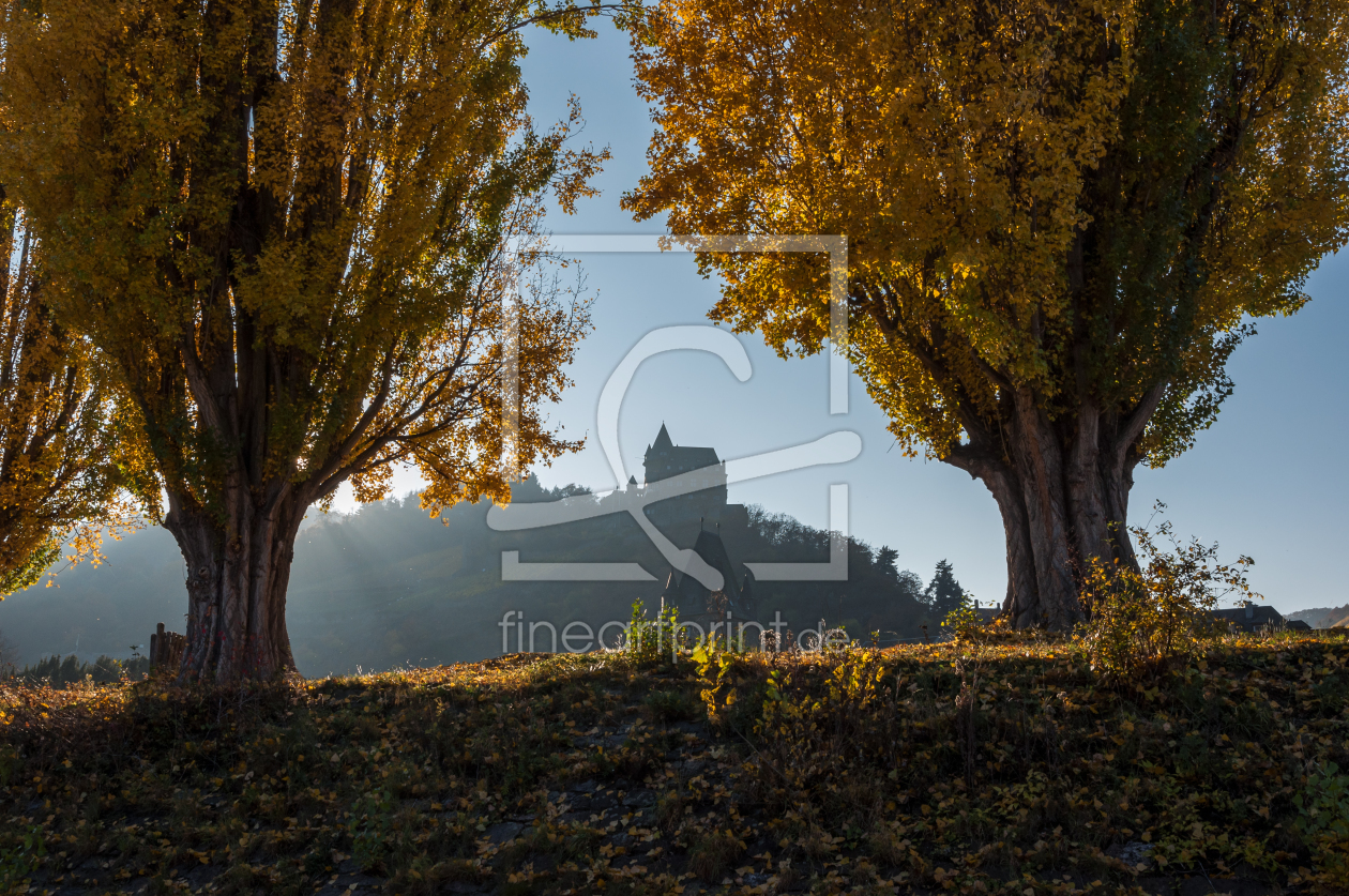 Bild-Nr.: 11355936 Burg Stahleck 7 erstellt von Erhard Hess