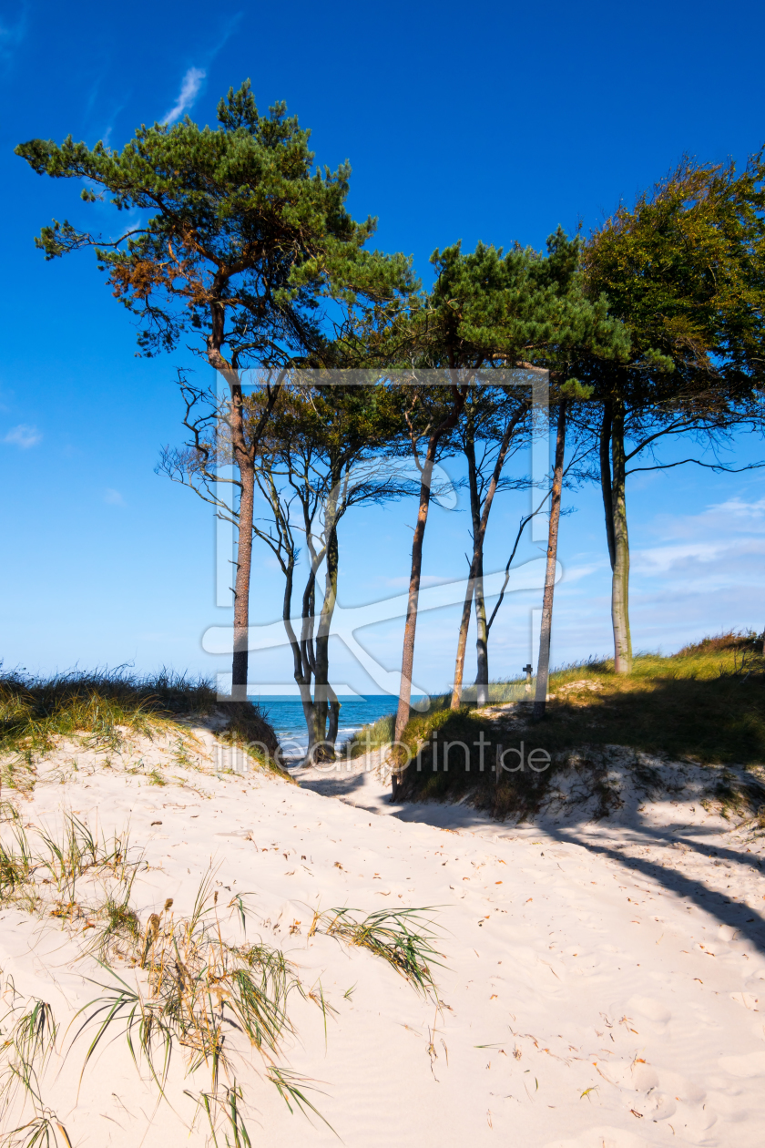 Bild-Nr.: 11357164 Darß - am Weststrand erstellt von Reiner Würz