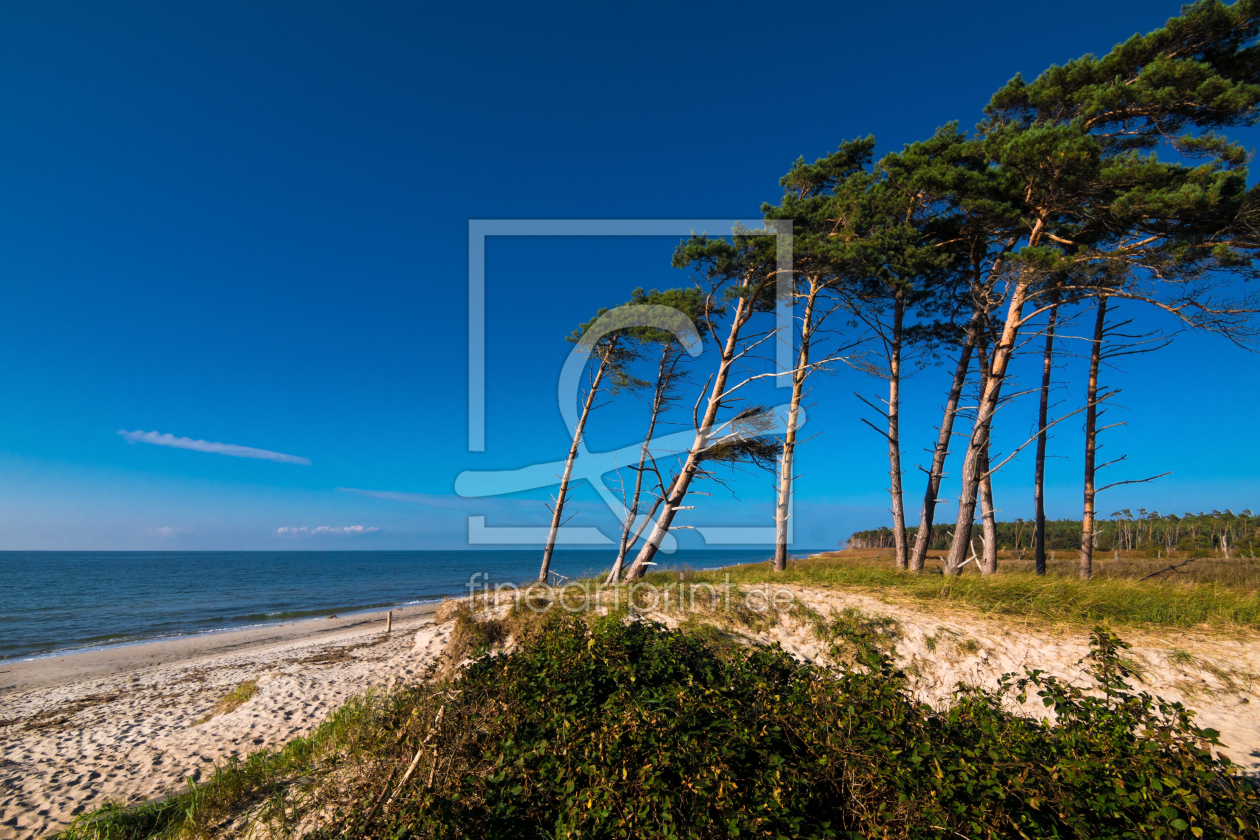 Bild-Nr.: 11357834 Weststrand - leuchtende Windflüchter erstellt von Reiner Würz