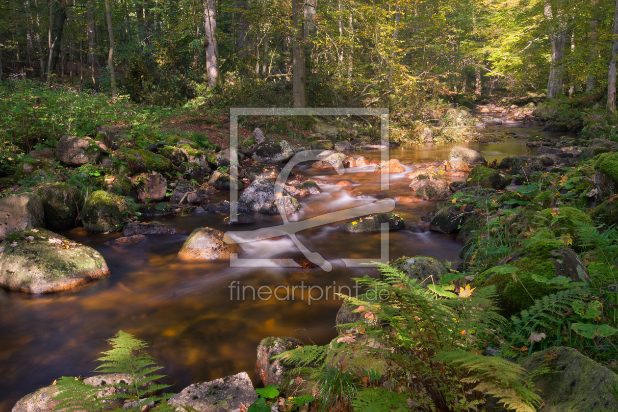 Bild-Nr.: 11358332 Herbst im Harz erstellt von Steffen Gierok