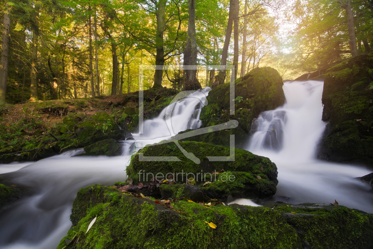 Bild-Nr.: 11360240 Herbst am Selkefall erstellt von Steffen Gierok