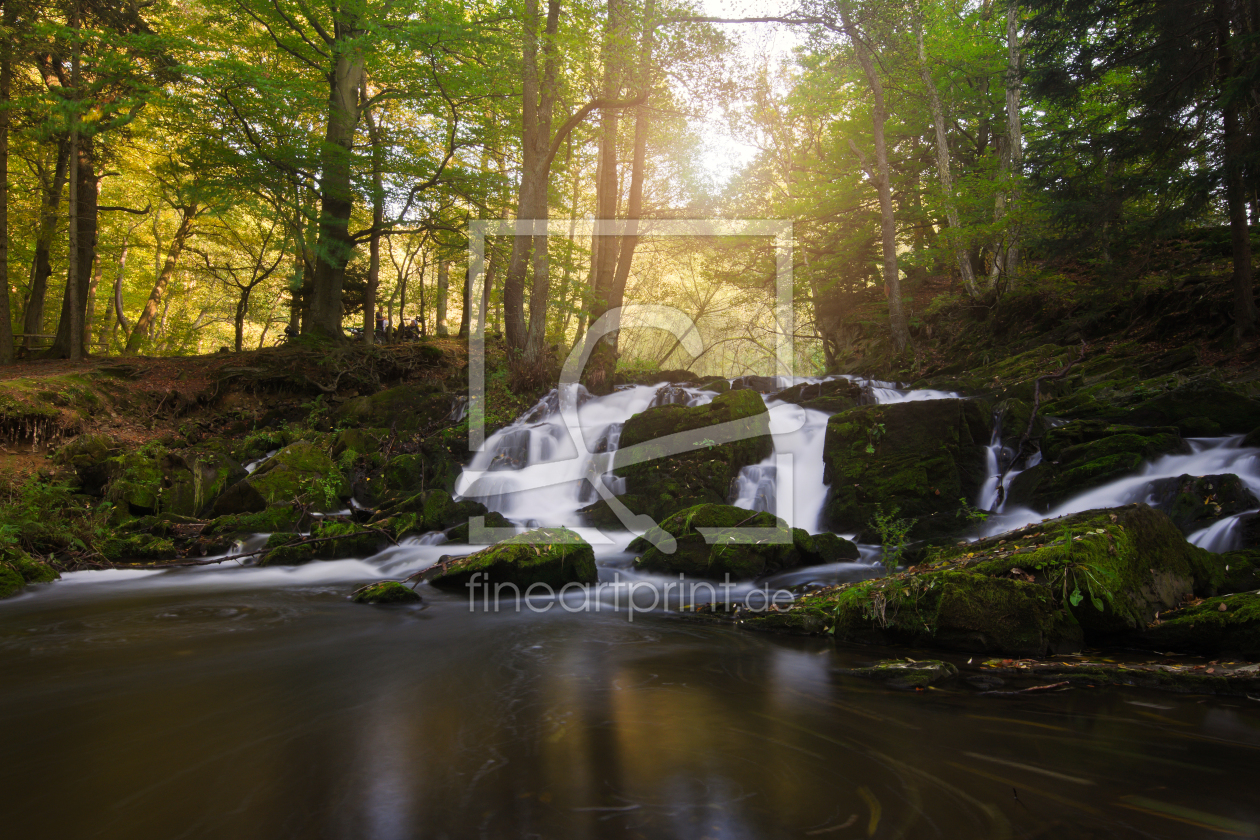 Bild-Nr.: 11360242 Herbst am Selkefall erstellt von Steffen Gierok