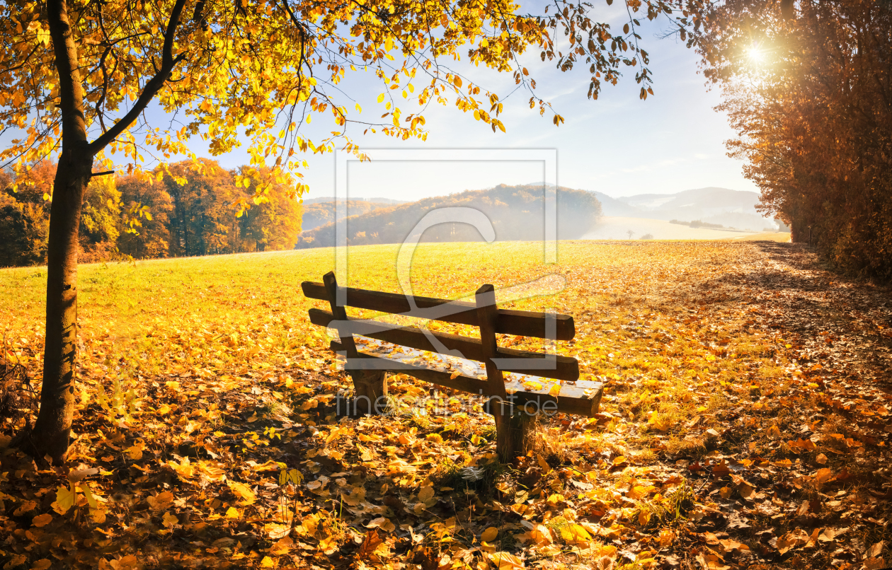 Bild-Nr.: 11360912 Herbstlandschaft erstellt von eyetronic