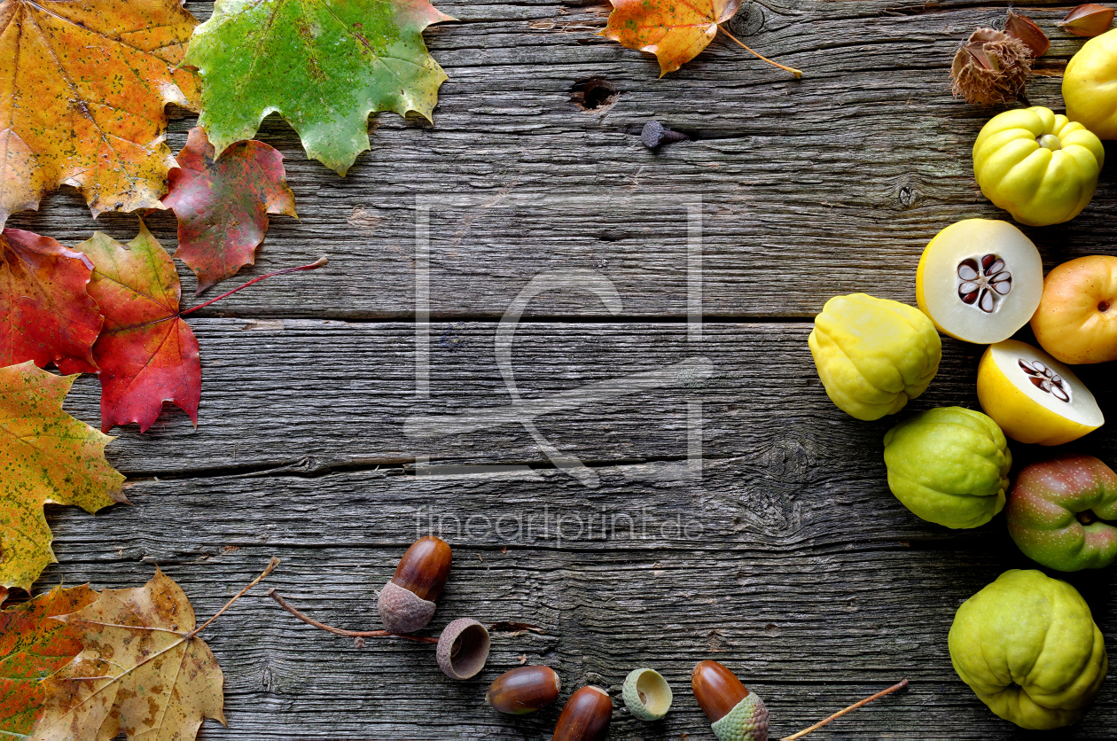 Bild-Nr.: 11361738 Herbst erstellt von Rolf Eschbach