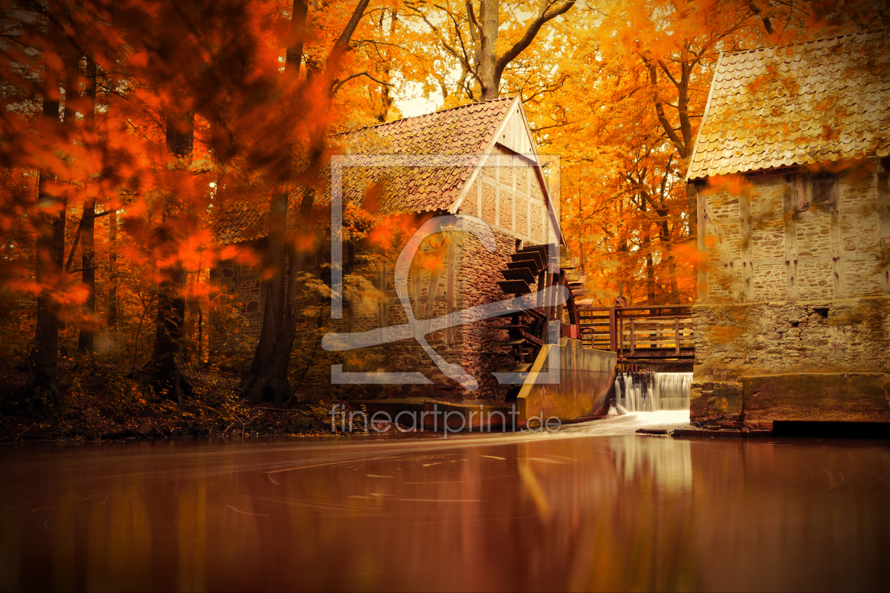 Bild-Nr.: 11363052 Bunte Jahreszeit - Herbst erstellt von Thomas und Ramona Geers