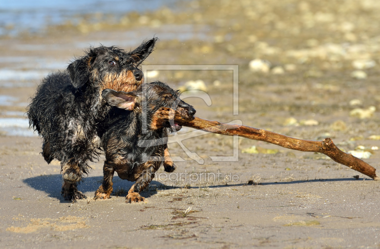 Bild-Nr.: 11363172 Am Strand erstellt von Sabine Schmidt