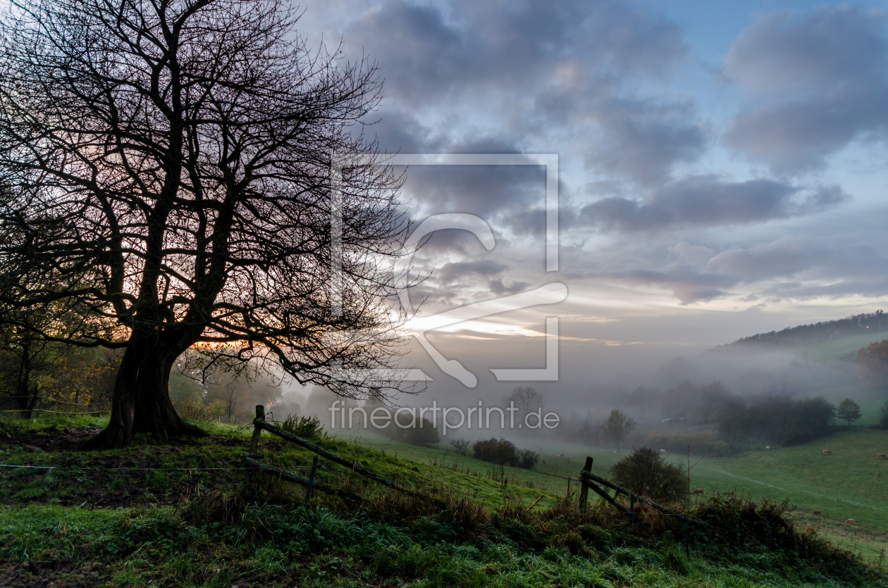 Bild-Nr.: 11366649 Valley of Fog erstellt von JTeeselink