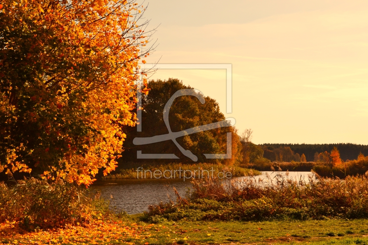 Bild-Nr.: 11367085 Herbstlandschaft erstellt von SchmidtArt