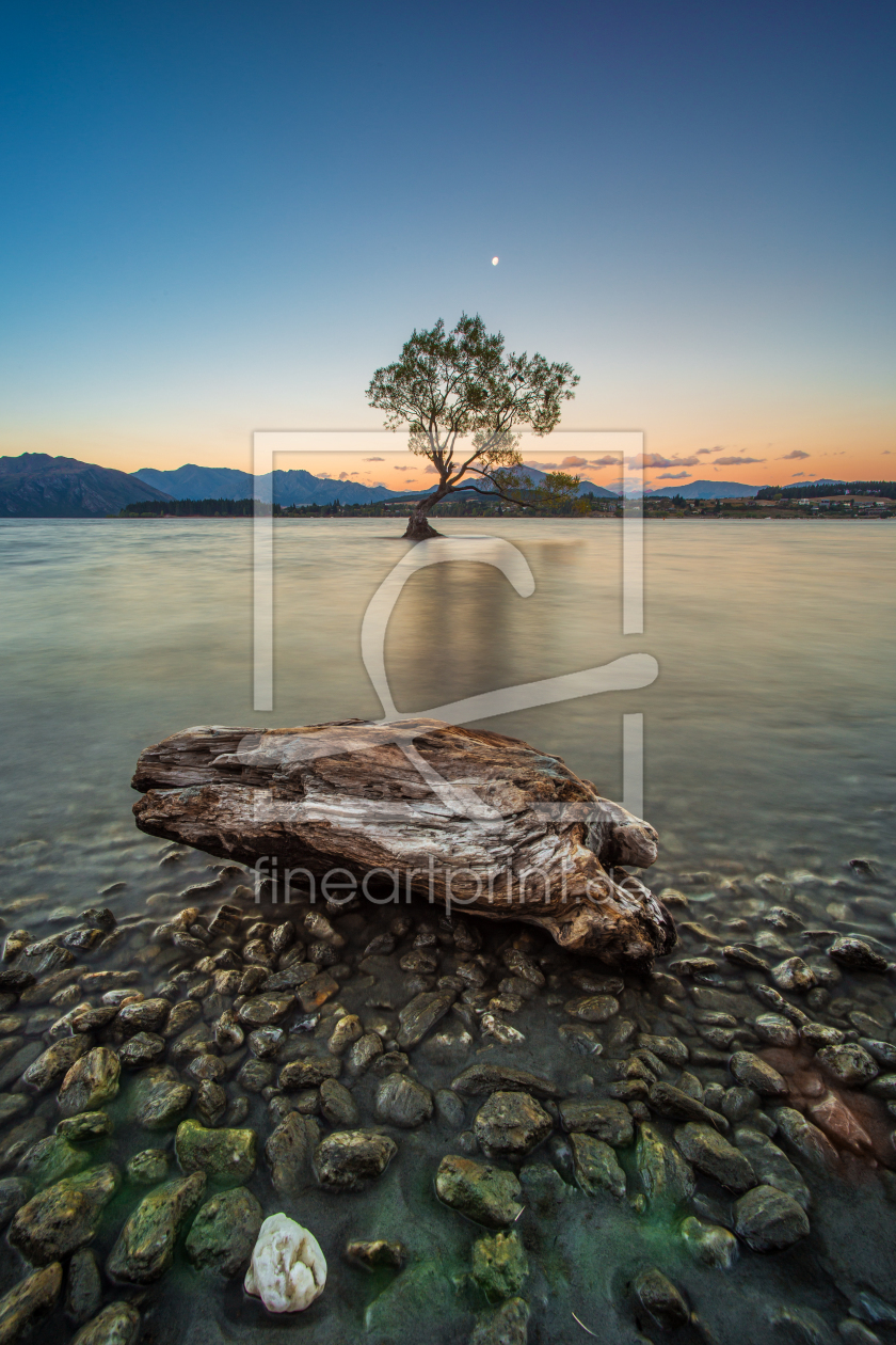 Bild-Nr.: 11367527 Lone Tree mit Stein erstellt von sebwar2004